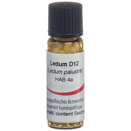 Omida Ledum Glob D 12 14g - PrimeCare Global