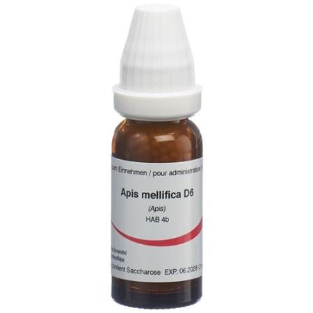 Omida Apis mellifica Glob D 6 2 g - PrimeCare Global