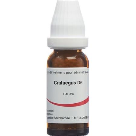 Omida Crataegus Glob D 6 2g - PrimeCare Global