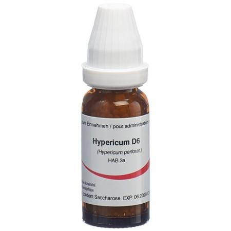 Omida Hypericum Glob D 6 2g - PrimeCare Global