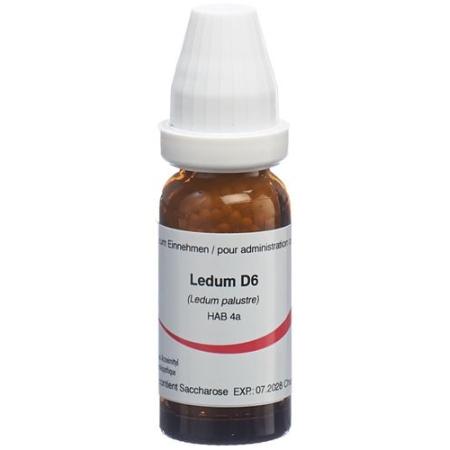 Omida Ledum Glob D 6 2g - PrimeCare Global
