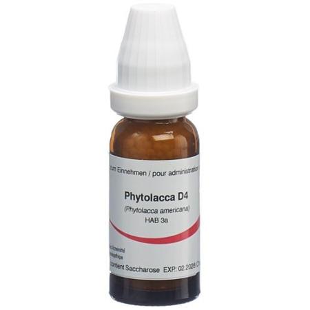 Omida Phytolacca Glob D 4 2g - PrimeCare Global