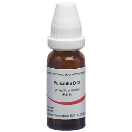 Omida Pulsatilla Glob D12 2g - PrimeCare Global