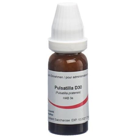 Omida Pulsatilla Glob D 30 2g - PrimeCare Global