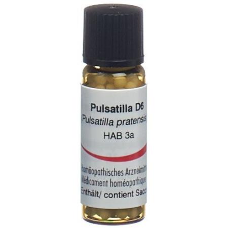 Omida Pulsatilla Glob D 6 2g - PrimeCare Global