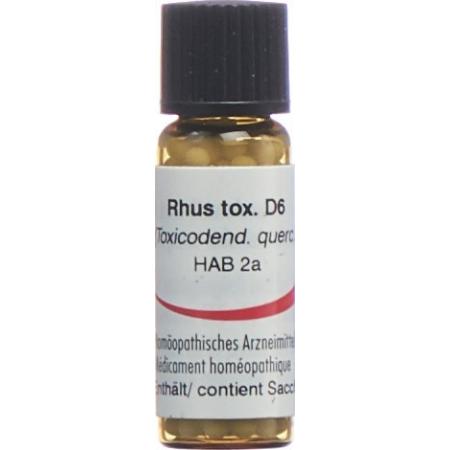 Omida Rhus toxicodendron Glob D 6 2 g - PrimeCare Global