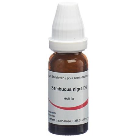 Omida Sambucus nigra Glob D 6 2 g - PrimeCare Global
