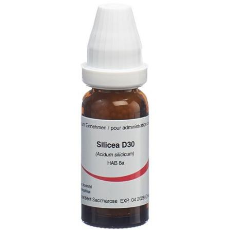 Omida Silicea Glob D 30 2g - PrimeCare Global
