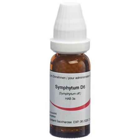 Omida Symphytum Glob D 6 2g - PrimeCare Global