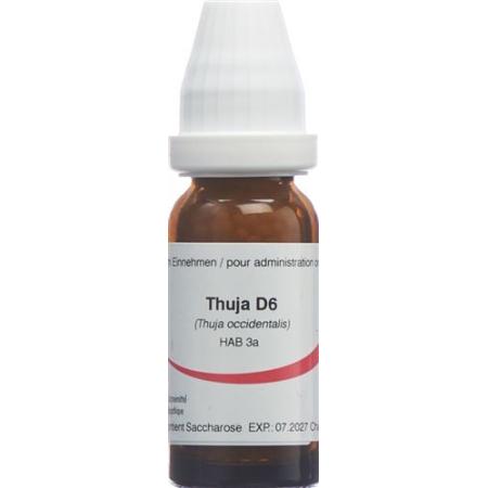 Omida Thuja Glob D 6 2 g - PrimeCare Global