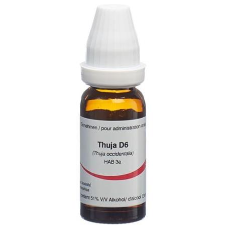 Omida Thuja Glob D 6 2 g - PrimeCare Global