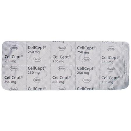 CellCept Caps 250 mg 100 pcs - PrimeCare Global