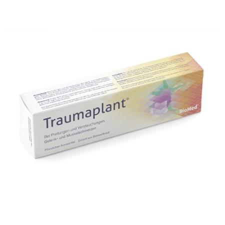Traumaplant Ointment Tb 100 g - PrimeCare Global