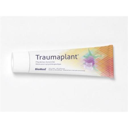 Traumaplant Ointment Tb 100 g - PrimeCare Global