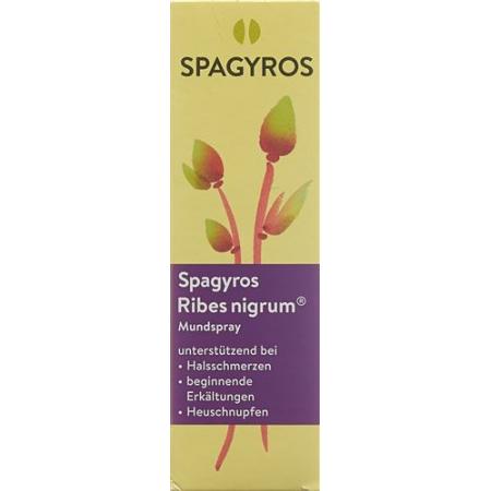 Spagyros Ribes nigrum mouth spray D 1 30 ml - PrimeCare Global
