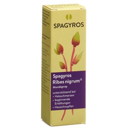 Spagyros Ribes nigrum mouth spray D 1 30 ml - PrimeCare Global