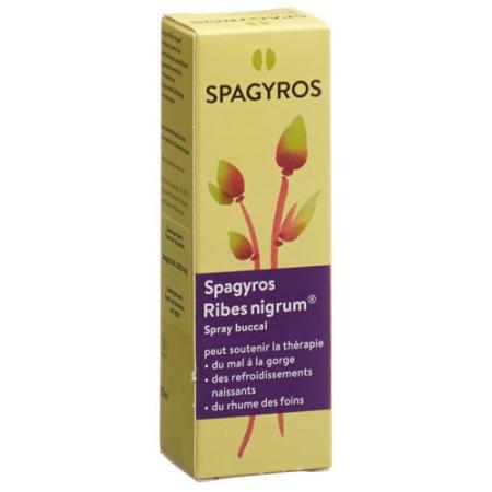 Spagyros Ribes nigrum mouth spray D 1 30 ml - PrimeCare Global