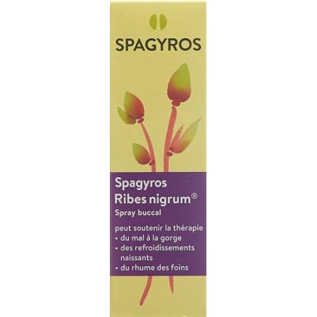 Spagyros Ribes nigrum mouth spray D 1 30 ml - PrimeCare Global