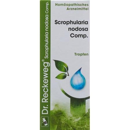 Reckeweg R17 Scrophularia nodosa Comp. drops 50 ml - PrimeCare Global