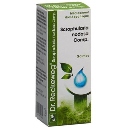 Reckeweg R17 Scrophularia nodosa Comp. drops 50 ml - PrimeCare Global