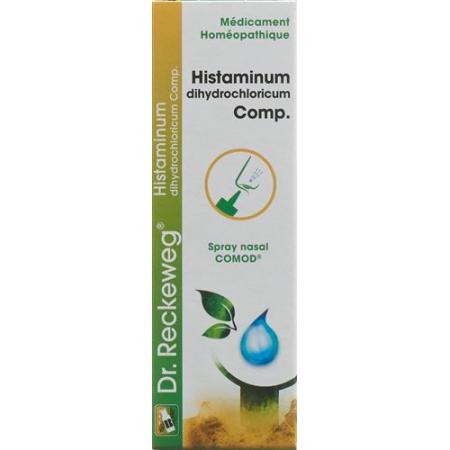 Reckeweg R97 Histaminum dihydrochloricum Comp. Nasal spray 15 ml - PrimeCare Global
