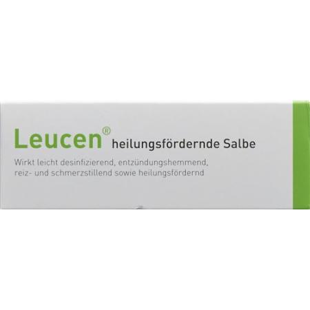 Leucene healing ointment 30 g - PrimeCare Global