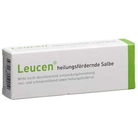 Leucene healing ointment 30 g - PrimeCare Global
