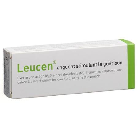 Leucene healing ointment 30 g - PrimeCare Global