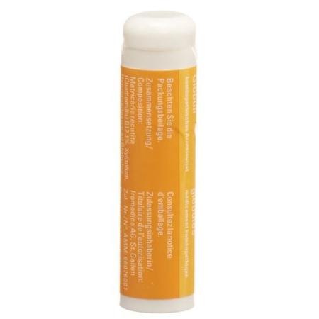 Osanit Flatulence Glob Ds 7.5 g - PrimeCare Global