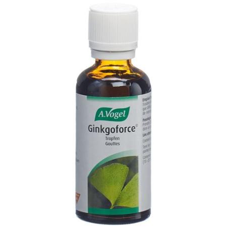 Vogel Ginkgoforce drops bottle 50 ml - PrimeCare Global