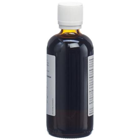 Vogel Ginkgoforce drops bottle 100 ml - PrimeCare Global