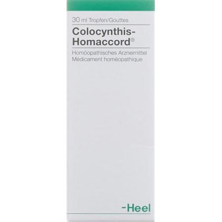 Homaccord Colocynthis 30 ml Tropfen - PrimeCare Global