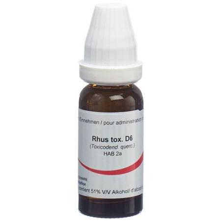 Omida Rhus toxicodendron liq D 6 bottles 15 ml - PrimeCare Global