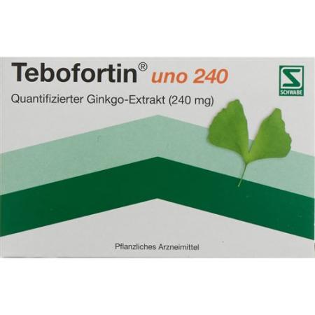 Tebofortin uno 240 film tablets 240 mg 20 pcs - PrimeCare Global