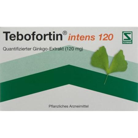 Tebofortin Intense 120 Film Tablets 120 mg 90 pcs - PrimeCare Global