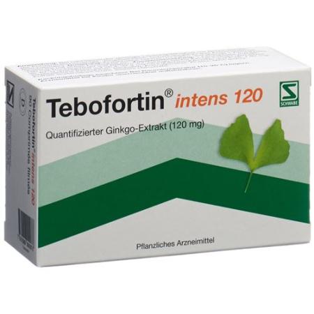 Tebofortin Intense 120 Film Tablets 120 mg 90 pcs - PrimeCare Global