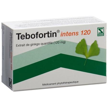 Tebofortin Intense 120 Film Tablets 120 mg 90 pcs - PrimeCare Global