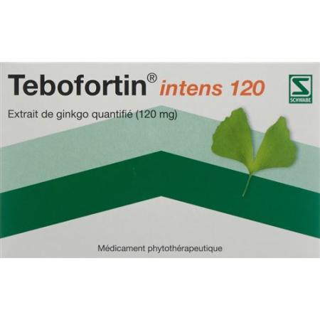 Tebofortin Intense 120 Film Tablets 120 mg 90 pcs - PrimeCare Global