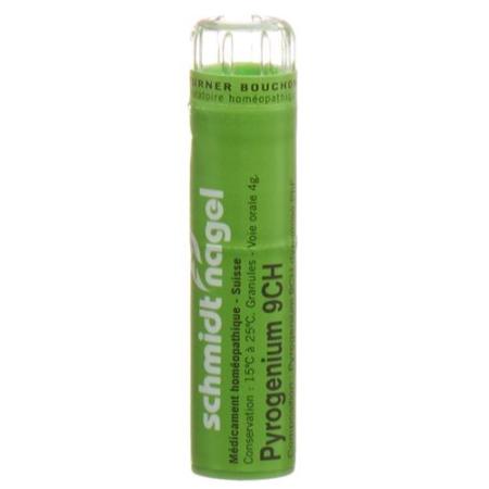 SN Pyrogenium Gran CH 9 4g - PrimeCare Global