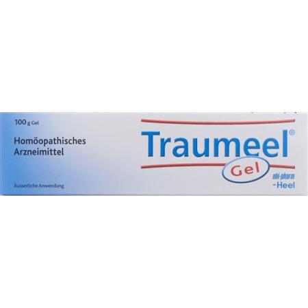 Traumeel S Gel Tb 100g - PrimeCare Global