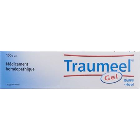 Traumeel S Gel Tb 100g - PrimeCare Global