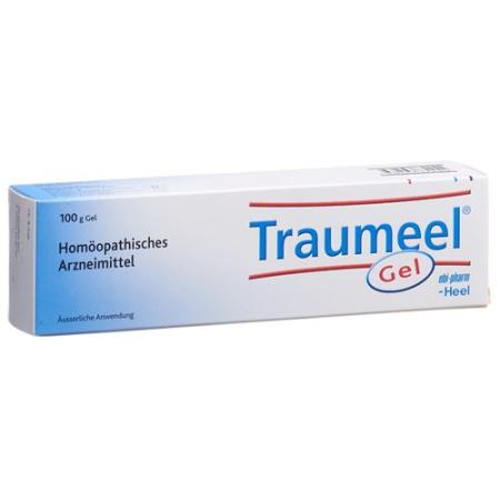 Traumeel S Gel Tb 100g - PrimeCare Global