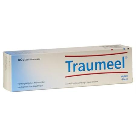 TRAUMEEL Ointment tube 100 g - PrimeCare Global