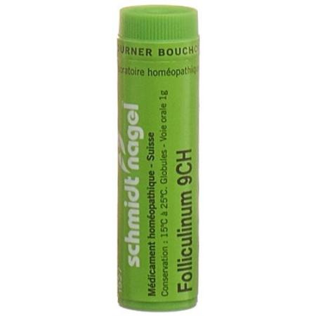 SN Folliculinum Glob CH 9 1g - PrimeCare Global