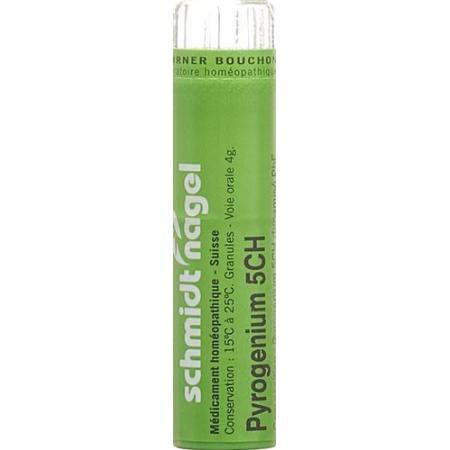 SN Pyrogenium Gran CH5 4g - PrimeCare Global