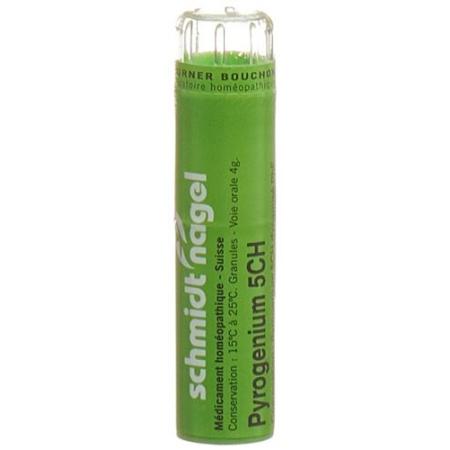 SN Pyrogenium Gran CH5 4g - PrimeCare Global