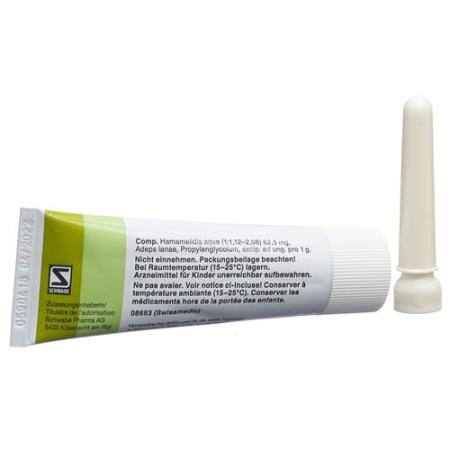 Hametum ointment with cannula Tb 25 g - PrimeCare Global