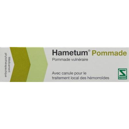 Hametum ointment with cannula Tb 25 g - PrimeCare Global