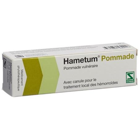 Hametum ointment with cannula Tb 25 g - PrimeCare Global
