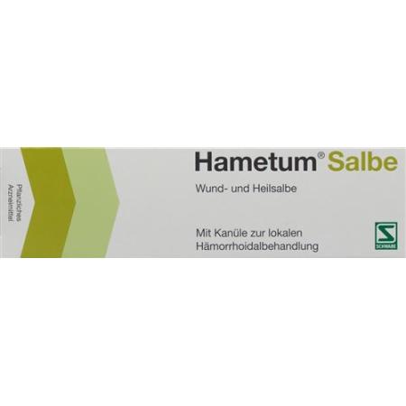 Hametum ointment with cannula Tb 50 g - PrimeCare Global